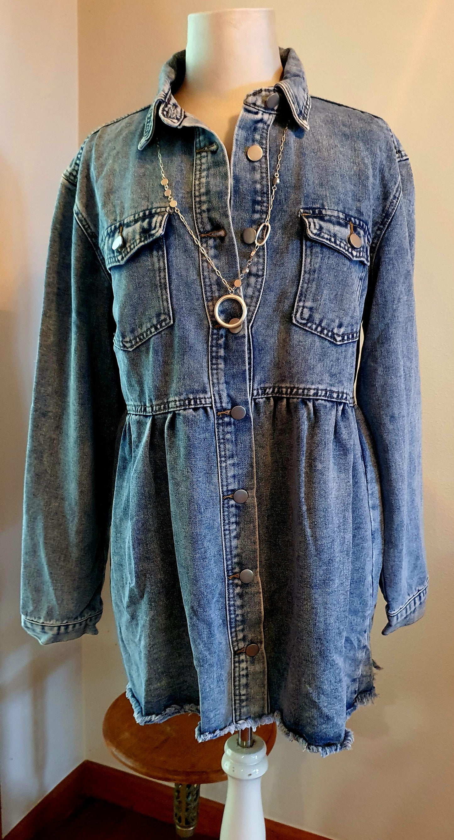 MeMe's Closet Denim Shirt/Dress